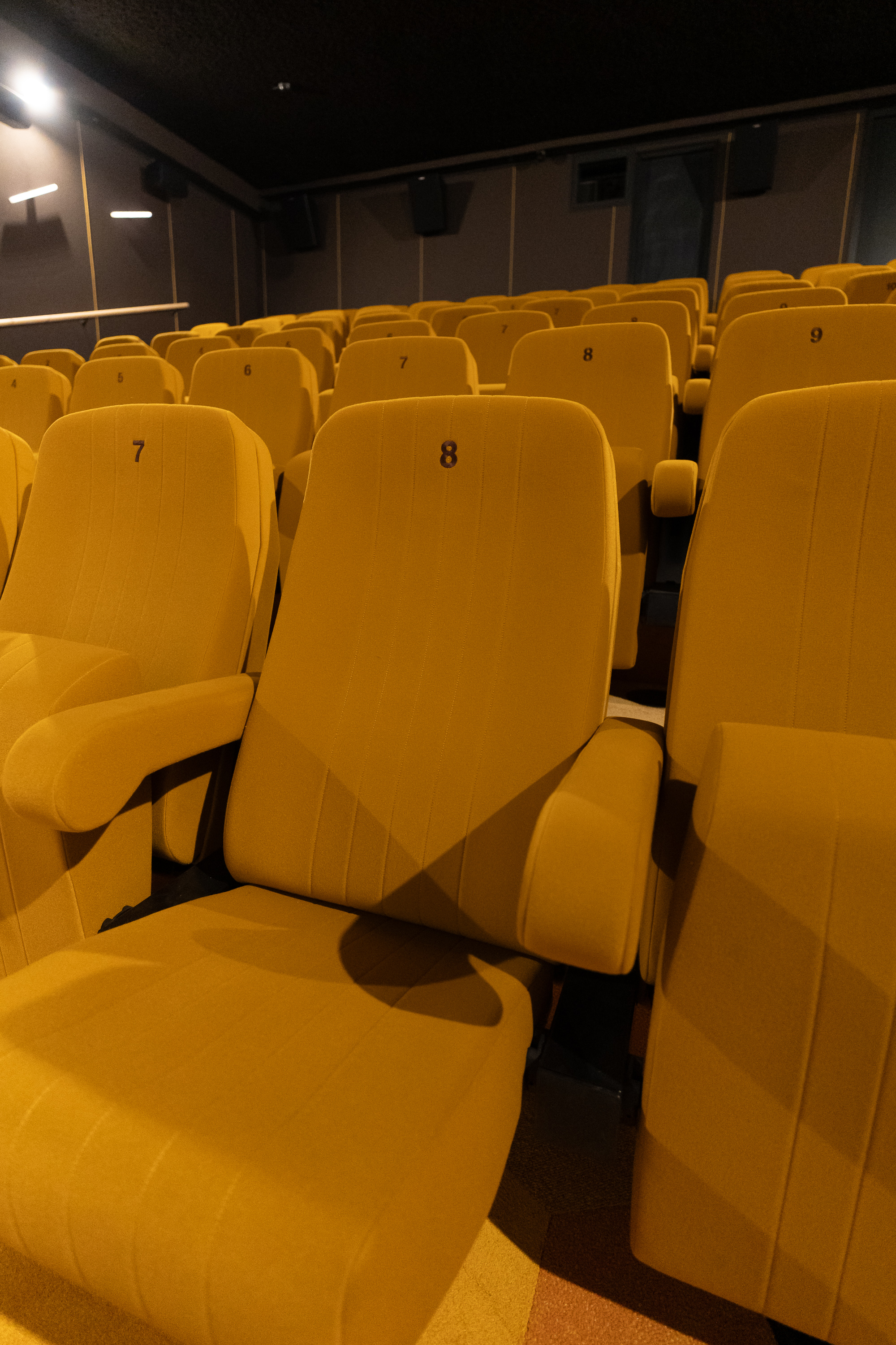 FilmTheater FilmkrantDag-005.jpg